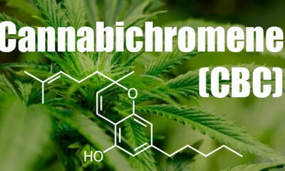 Cannabichromene