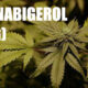 Canabigerol