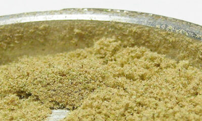 Kief