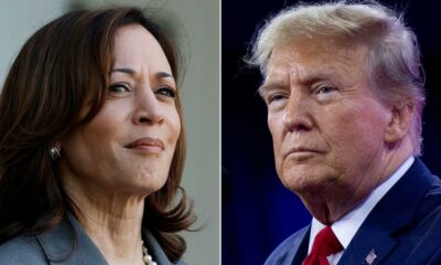 Legalizar a canábis nos Estados Unidos com Kamala Harris ou Donald Trump