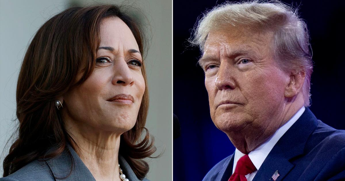 Legalizar a canábis nos Estados Unidos com Kamala Harris ou Donald Trump