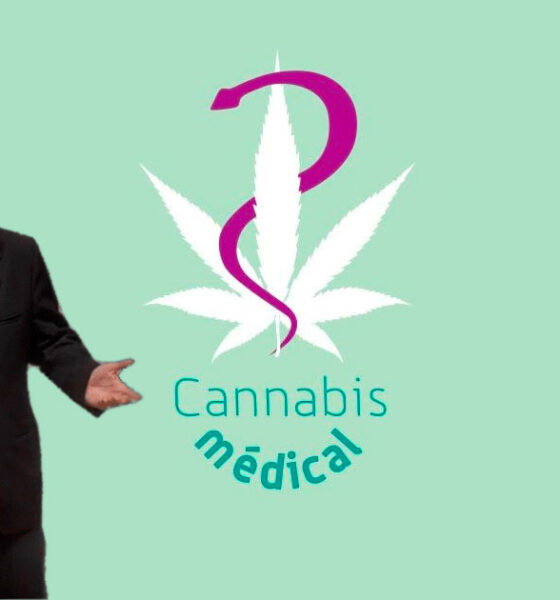 Cannabis medicinal não incluída no PLFSS 2025