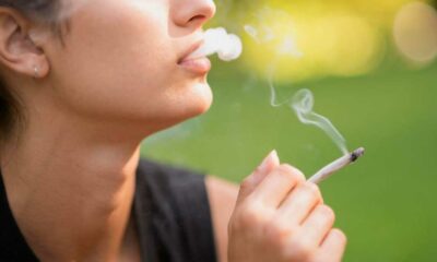 Consumo de cannabis diminui entre os adolescentes