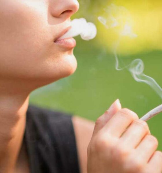 Consumo de cannabis diminui entre os adolescentes