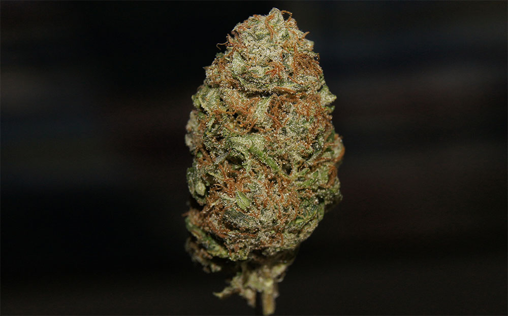 Bruce Banner