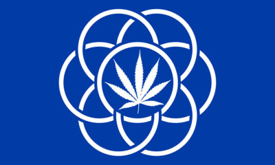 Bandeira de Terre cannabis