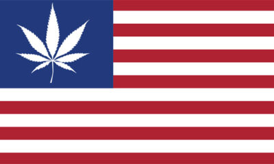 a legalização da canábis nos Estados Unidos