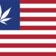 a legalização da canábis nos Estados Unidos