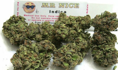 Mr Nice