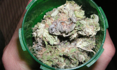 Purple Urkle