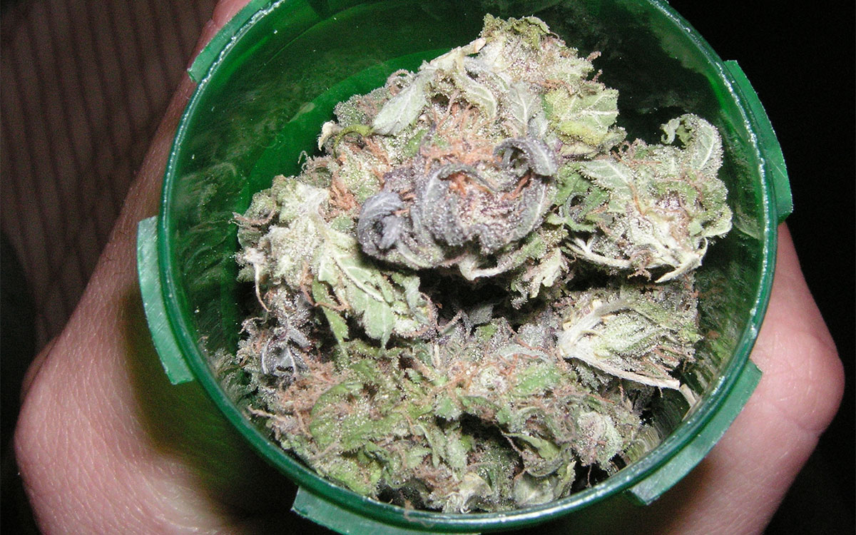 Purple Urkle