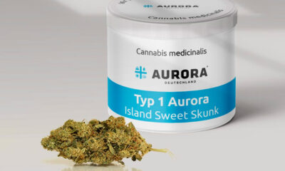 Island Sweet Skunk de Aurora